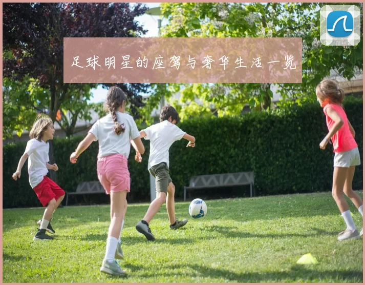 足球明星的座驾与奢华生活一览