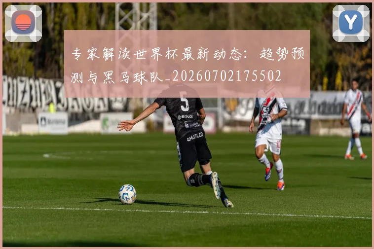专家解读世界杯最新动态：趋势预测与黑马球队_20260702175502