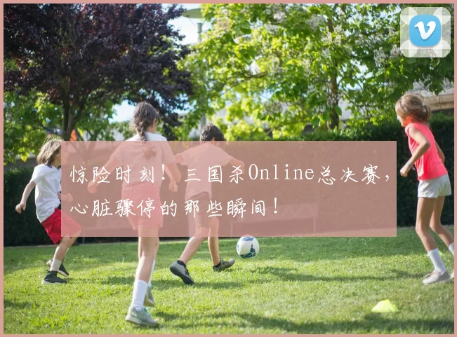 惊险时刻！三国杀Online总决赛，心脏骤停的那些瞬间！