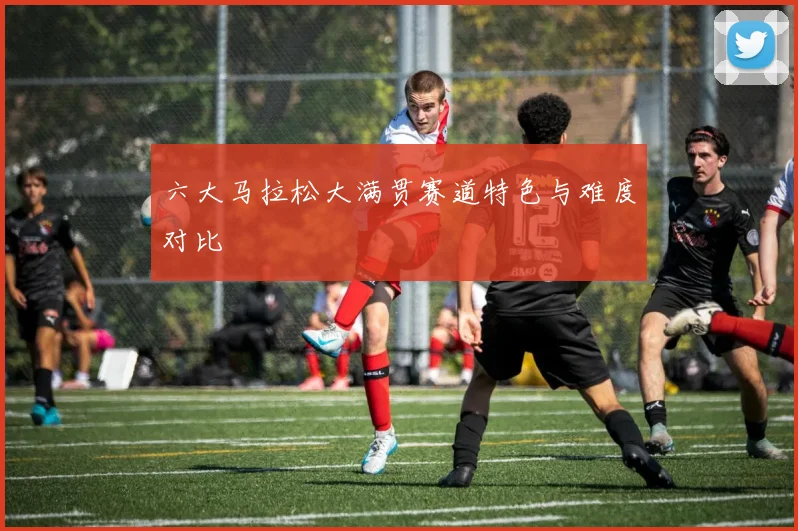 六大马拉松大满贯赛道特色与难度对比